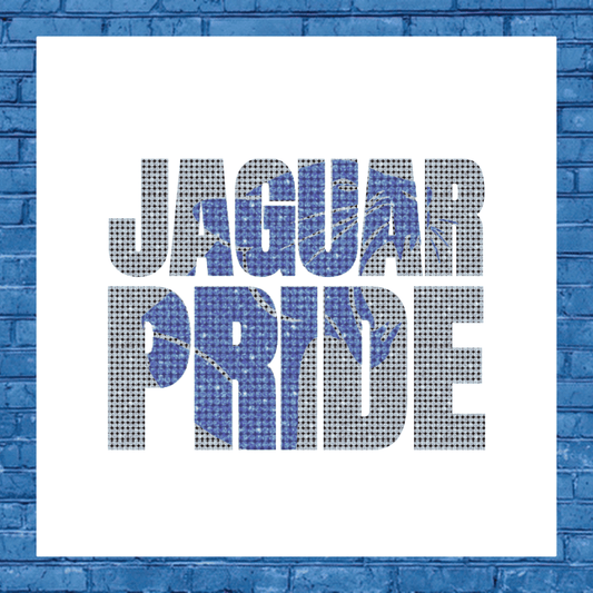 JMS Cheer "Jaguar Pride Bling" Spirit Wear